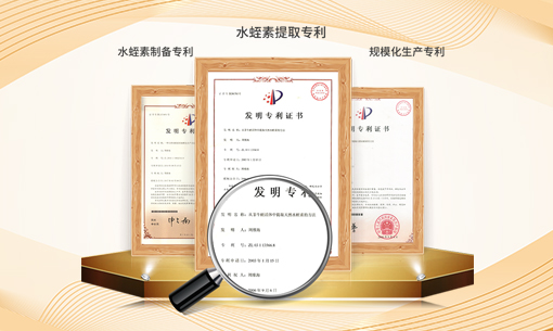 水蛭素对前列腺炎真的有作用吗？