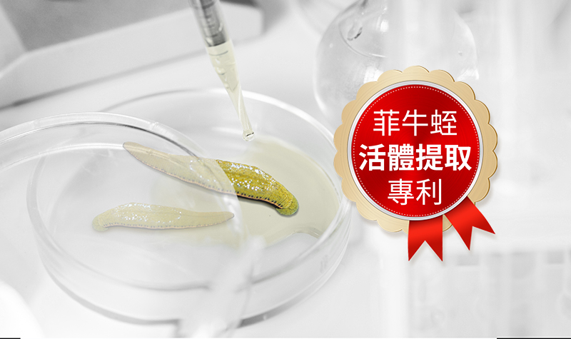 抗凝溶栓的神奇“水蛭素”如何清除人体血栓？